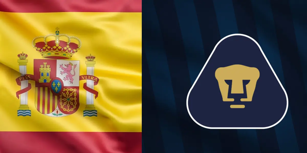 Pumas y bandera de España
