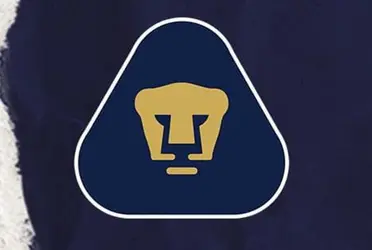 Cientos de bultos han vestido la camiseta de Pumas a lo largo de su historia. Diferentes nacionalidades y posiciones, y con más pena que gloria