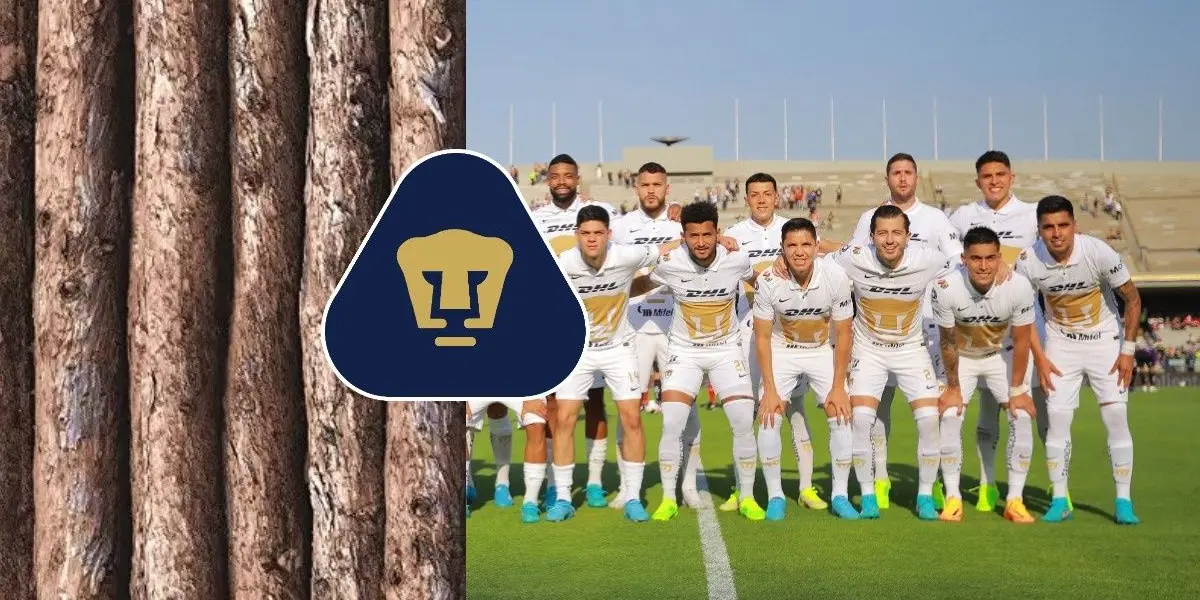 Estos jugadores fueron auténticos petardos el torneo pasado y siguen cobrando en Pumas 